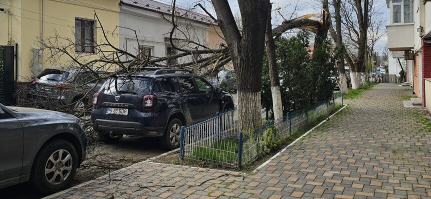foto masina avariata dupa ce un copac s a prabusit in zona podul de fier 69d3b6288e53e