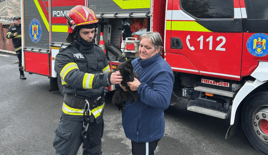 foto video interventie de suflet in vinerea mare pompierii ieseni au salvat o pisica ramasa blocata intr un brad 69d8a7b61f14b