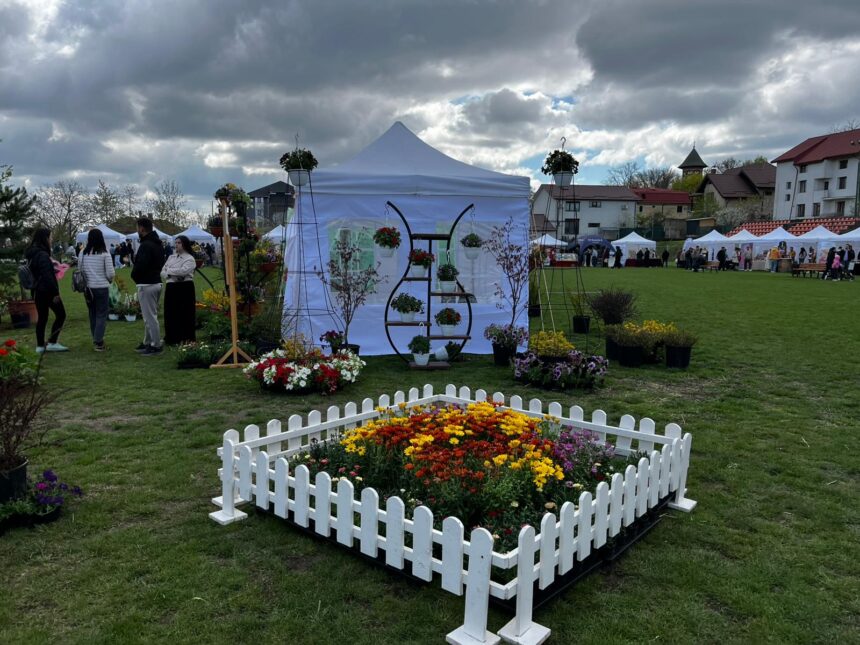 garden fest a inceput la iasi arena usv devine hub pentru solutii verzi si sustenabile galerie foto video 69e35de9f015c