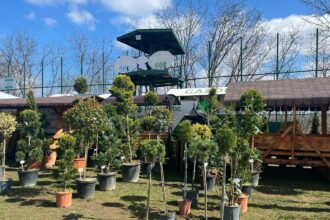 garden fest by usv iasi revine in acest weekend pe arena usv peste 50 de expozanti si ateliere pentru toate varstele 69df2dc1d60cd