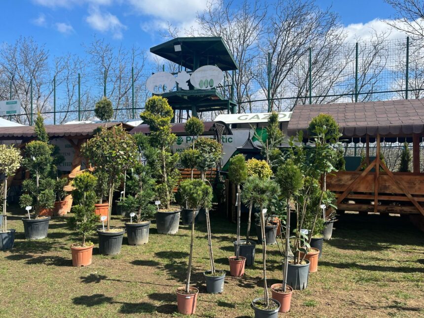 garden fest by usv iasi revine in acest weekend pe arena usv peste 50 de expozanti si ateliere pentru toate varstele 69df2dc1d60cd