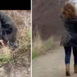 incident socant in iasi o femeie a sarit dintr o masina de transport alternativ in mers dupa un conflict cu soferul video 69d68487f2296