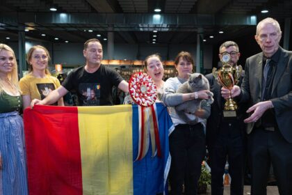 kira kiralina o pisica nascuta in iasi e cea mai frumoasa din europa cum arata ursoaica din bucovina 69e73776c09b8