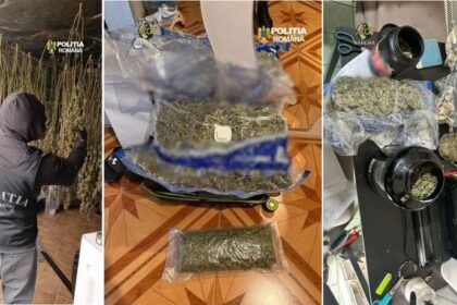 laborator clandestin pentru producerea de hasis si ulei de canabis descoperit in valcea video 69e8a5203ed05