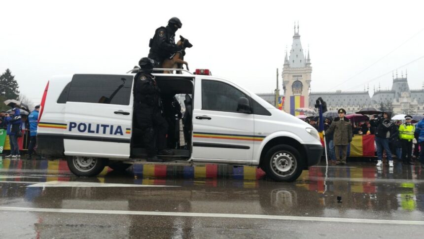 marcelone dovedit de cainele guj traficantul de pe sararie vindea sobolani ca sa si finanteze consumul de heroina si pasiunea pentru pacanele 69f1555b3503d