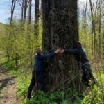 ministrul mediului anunta salvarea arborilor seculari din jurul municipiului iasi care fusesera marcati si urmau sa fie taiati 69e3743441c1a