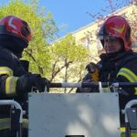 misiune speciala a pompierilor din turda care au salvat un pui de papagal din varful unui brad 69ee975f99c23