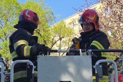 misiune speciala a pompierilor din turda care au salvat un pui de papagal din varful unui brad 69ee975f99c23