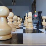 ne scaneaza inainte de partide ne scaneaza dupa partide parca am fi toti agenti mossad in iran un mare maestru critica federatia internationala de sah 69d0ec6c9d436