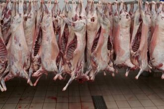 nereguli alimentare in lant la iasi inainte de paste amenzi de 74 000 de lei si carne retrasa de pe piata 69d41523be177