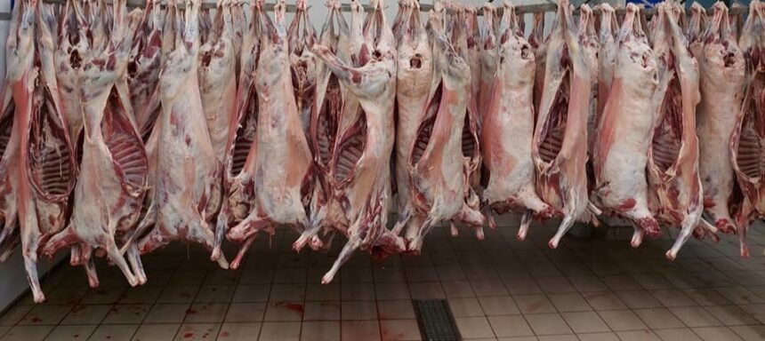 nereguli alimentare in lant la iasi inainte de paste amenzi de 74 000 de lei si carne retrasa de pe piata 69d41523be177