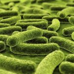 o noua descoperire in domeniul proteinelor ar putea contribui la stoparea superbacteriilor rezistente la antibiotice 69eb15c0e26db