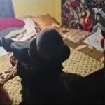 om de afaceri chinez pradat de un recidivist din iasi cum i a furat lucruri in valoare de 100 000 de euro video 69f0d7ee5ae88