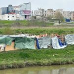 padoc clandestin la marginea orasului iasi peste 30 de caini sunt tinuti in conditii improprii 69e6b32f5832b