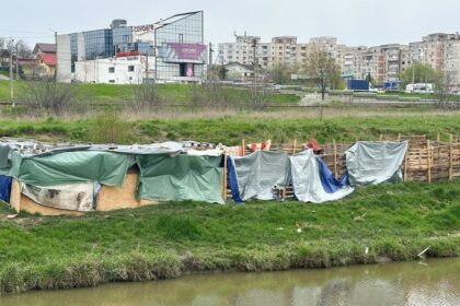 padoc clandestin la marginea orasului iasi peste 30 de caini sunt tinuti in conditii improprii 69e6b32f5832b