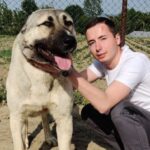 profesorul de la liceul special moldova din targu frumos cercetat pentru viol asupra unei eleve a demisionat reactia isj 69f0c53fe8434