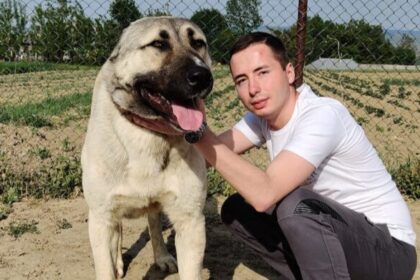 profesorul de la liceul special moldova din targu frumos cercetat pentru viol asupra unei eleve a demisionat reactia isj 69f0c53fe8434