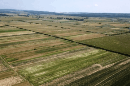proprietarii companiei teranova nalbant sa din bucuresti vor sa cumpere mai multe suprafete de teren agricol in iasi care sunt comunele vizate 69eaa7ce7ed45