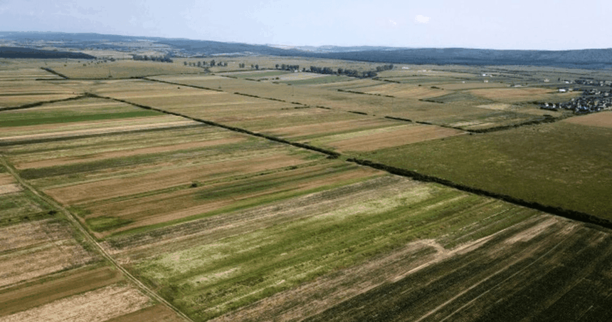 proprietarii companiei teranova nalbant sa din bucuresti vor sa cumpere mai multe suprafete de teren agricol in iasi care sunt comunele vizate 69eaa7ce7ed45