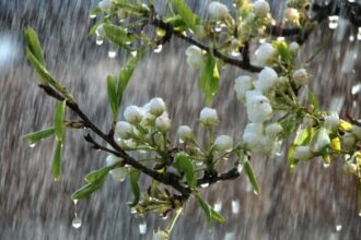 se strica vremea ploi si intensificari ale vantului pana sambata seara in centrul sudul si estul tarii cod galben de vant puternic la iasi 69e1e5eb35788 1