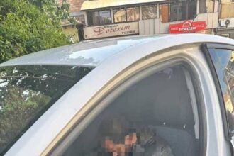 spargere in gorj un barbat a adormit in masina pe care voia sa o jefuiasca a fost vazut de o femeie care a sunat la 112 69e9e88713807