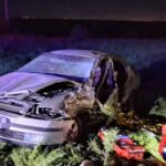 tragedie in giurgiu doi tineri de 16 si 21 de ani au murit in urma unui accident rutier pe dj 601 69f0605815588
