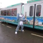 tramvaiul lui iepurila revine pe traseele din iasi 69cf4695ee2f7