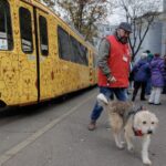 tramvaiul responsabilitatii iese sambata pe strazile iasului pentru cateii fara stapan cum puteti dona 69cdb5d8dcb10