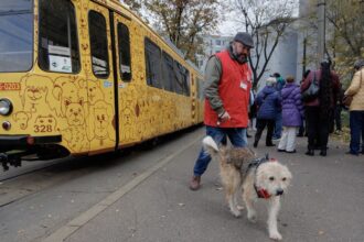 tramvaiul responsabilitatii iese sambata pe strazile iasului pentru cateii fara stapan cum puteti dona 69cdb5d8dcb10