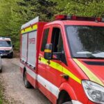 un barbat de 45 de ani a murit strivit de un copac intr o padure din neamt 69f30df5cc711