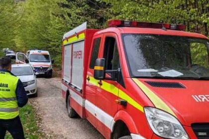 un barbat de 45 de ani a murit strivit de un copac intr o padure din neamt 69f30df5cc711