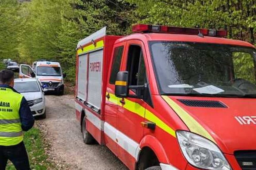 un barbat de 45 de ani a murit strivit de un copac intr o padure din neamt 69f30df5cc711
