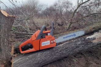 un barbat din sebes a murit dupa ce s a taiat singur cu drujba 69e3a8e4d2954