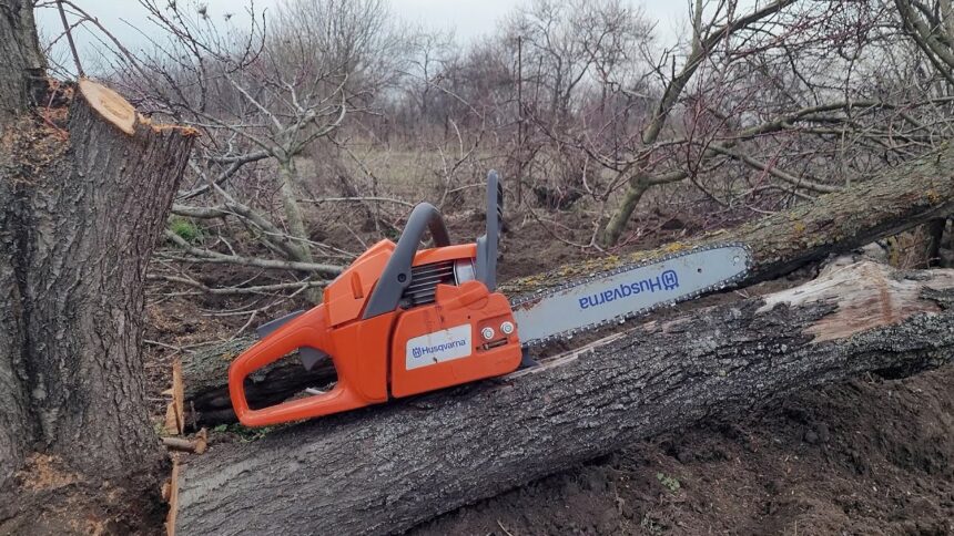 un barbat din sebes a murit dupa ce s a taiat singur cu drujba 69e3a8e4d2954