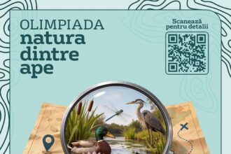veolia romania continua olimpiada de biodiversitate natura dintre ape la nivel national 69de4a56a6042