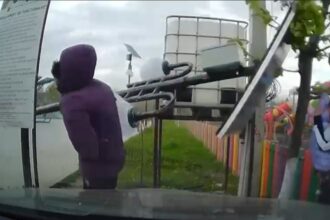 video bebelus si mama acestuia loviti de un stalp smuls de vant in zona parcului din miroslava 69edf80e45105