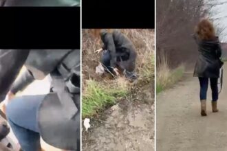 video incident bizar in bucium o femeie a sarit din uber in timpul mersului din cauza neintelegerilor privind plata cursei 69d61d5f37e53