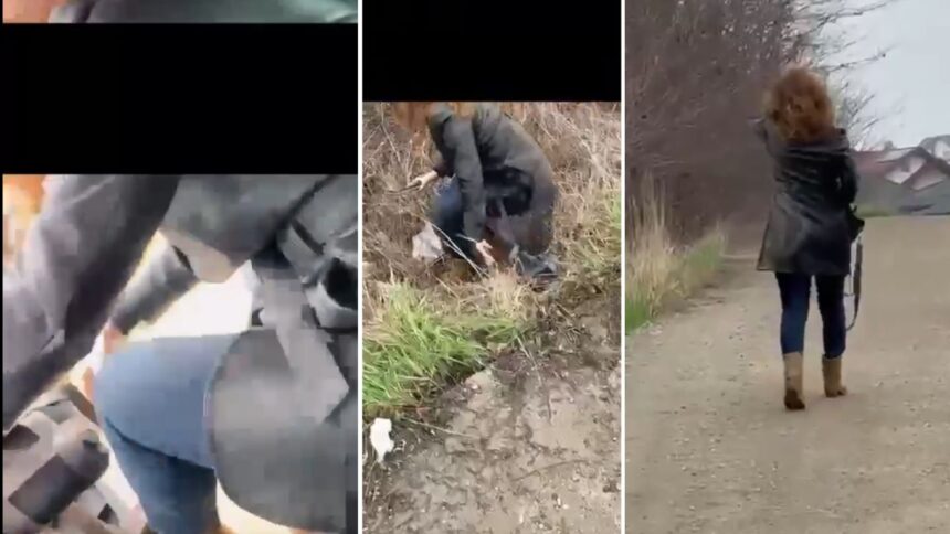 video incident bizar in bucium o femeie a sarit din uber in timpul mersului din cauza neintelegerilor privind plata cursei 69d61d5f37e53