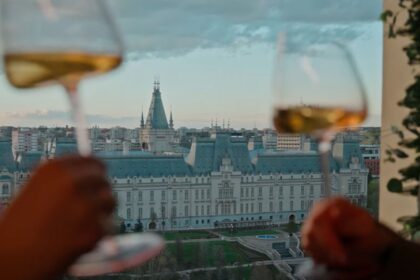 video unul din cele mai frumoase videoclipuri de promovare a iasului facut recent de aeroport 69f31ad03cb3b