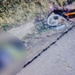 accident rutier mortal in zona budai un biciclist a fost lovit de o masina condusa de un tanar de 20 de ani 6a09dc4304dbb