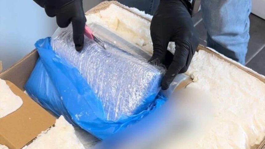 barbat din constanta prins cand aducea droguri printr o firma de curierat avea substante de peste 200 000 de euro video 6a1c4b57b510e