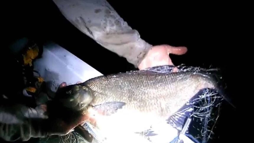 braconieri prinsi pe un lac din judetul bacau au fost gasite peste 100 de kilograme de peste video 69fee0ec73741