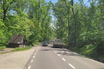 camioneta surprinsa strangand copacii abandonati pe drumul spre aeroport la scurt timp dupa semnalarea publica a problemei 6a0522e34205c