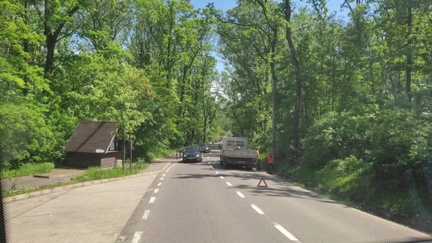 camioneta surprinsa strangand copacii abandonati pe drumul spre aeroport la scurt timp dupa semnalarea publica a problemei 6a0522e34205c