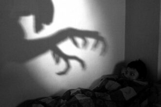 caz de pe lumea cealalta solutionat de procurorii ieseni trimis in judecata din cauza unei entitati misterioase numita bau 69fb0ae028e39