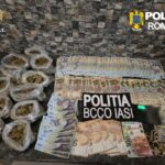 cocaina vanduta cu 500 de lei gramul pe strazile din iasi toate drumurile au dus spre o vulcanizare din dacia 6a0dd0c129d59