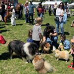 foto a inceput animal fest by usv iasi zeci de ieseni au venit cu animalele de companie la arena usv 6a0839e3b6617