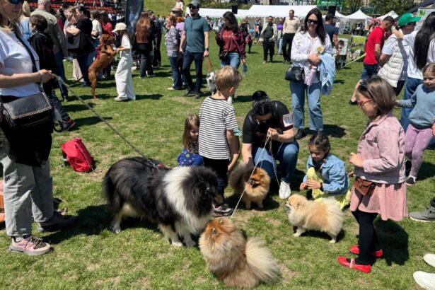 foto a inceput animal fest by usv iasi zeci de ieseni au venit cu animalele de companie la arena usv 6a0839e3b6617
