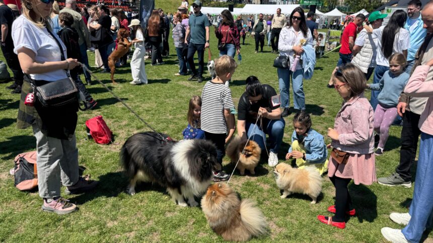 foto a inceput animal fest by usv iasi zeci de ieseni au venit cu animalele de companie la arena usv 6a0839e3b6617
