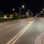 foto pui de caprioara surprins la miezul noptii traversand bulevardul la iasi 6a055b176e441